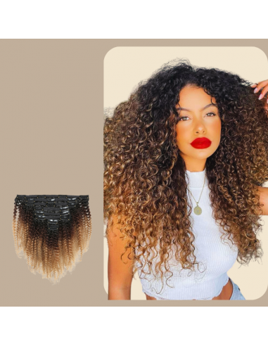 Afro Curly Ombre Brown Chocolate Blonde Clip-In Extensions Kit 120 gr sur le site 